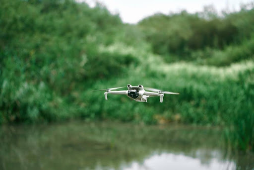 drones and wildlife